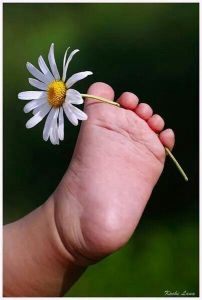 Daisy foot